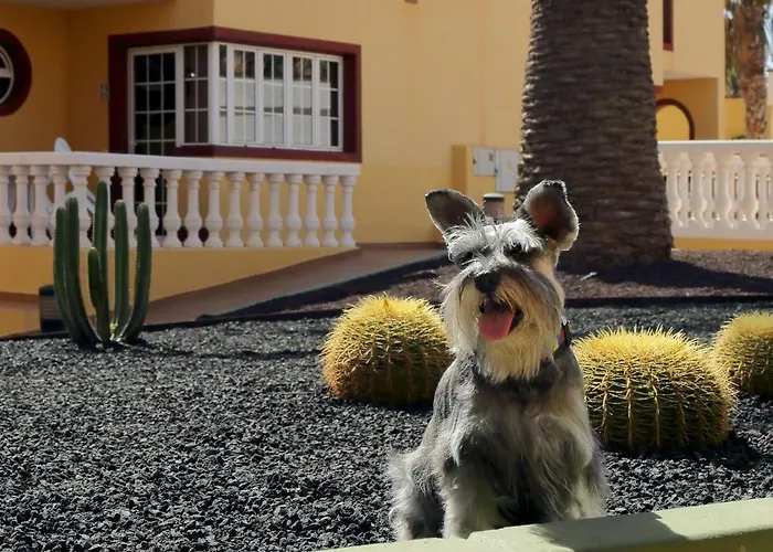 Lejlighedshotel Maxorata